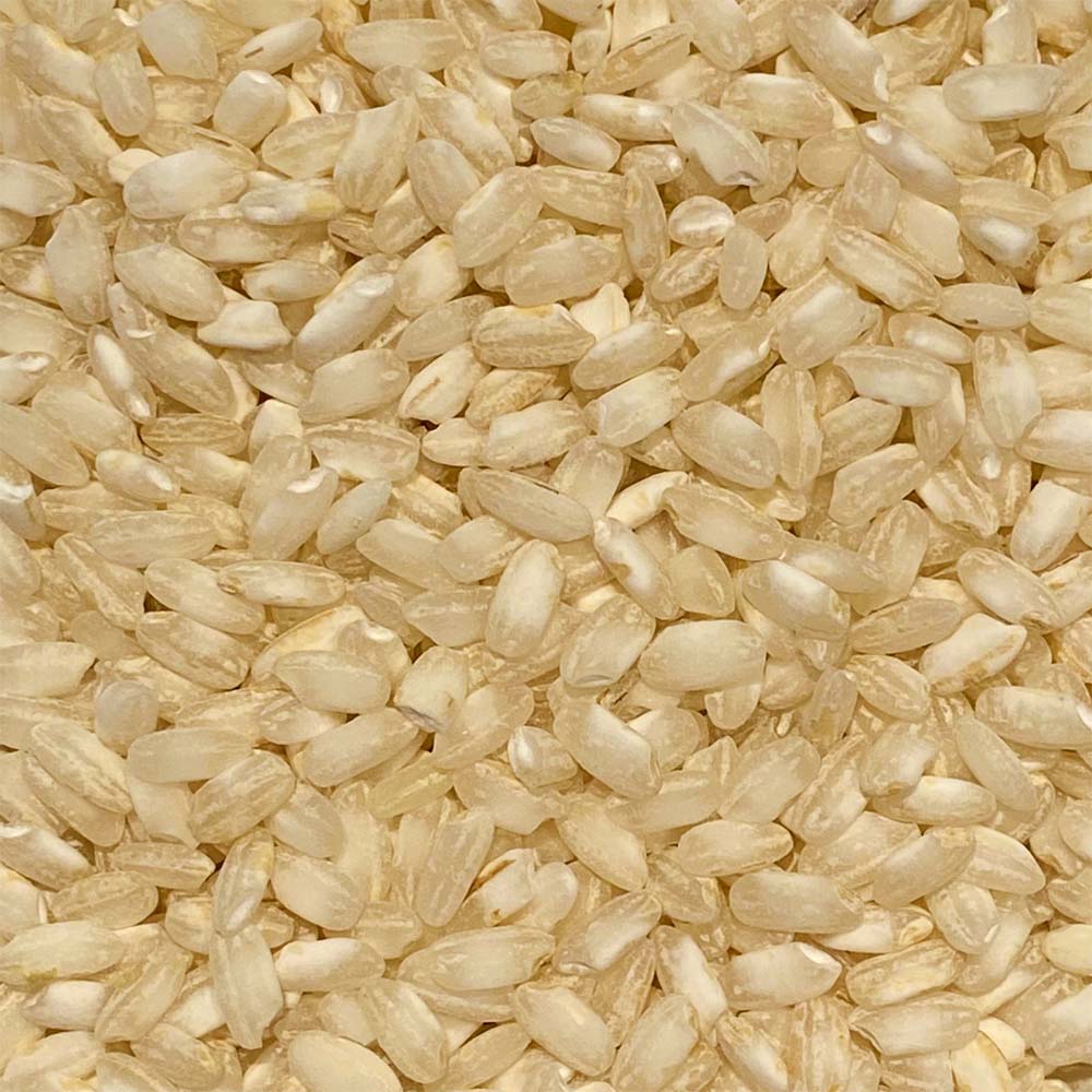 Arroz Arborio 500g
