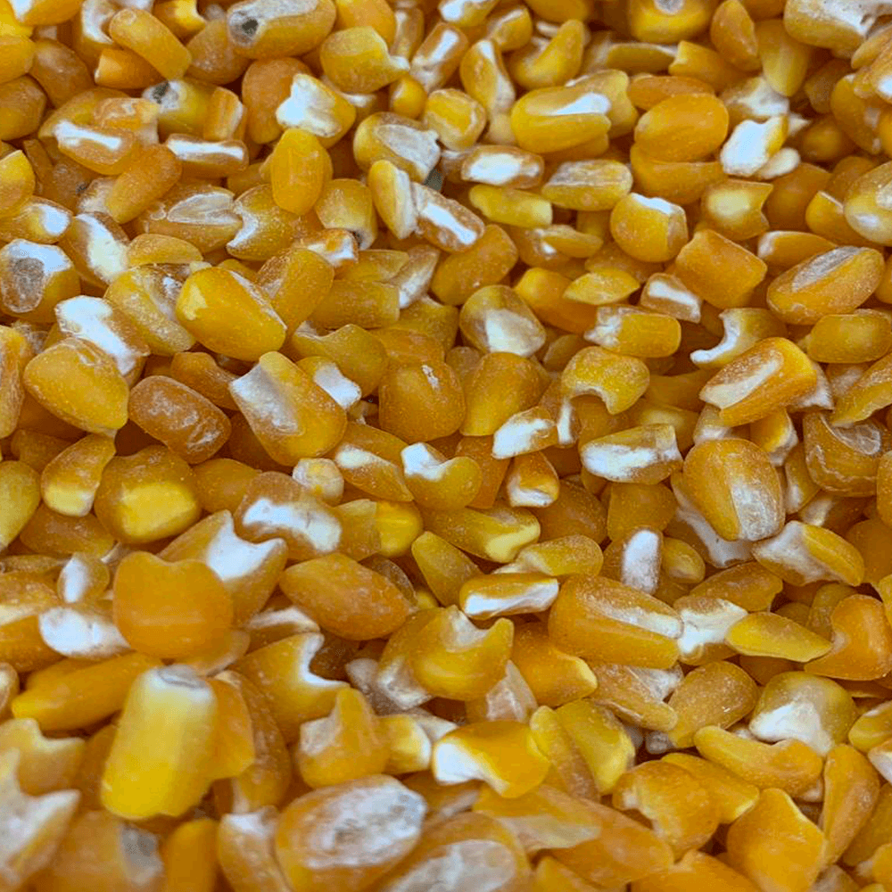Canjica-Milho-Amarela-500g