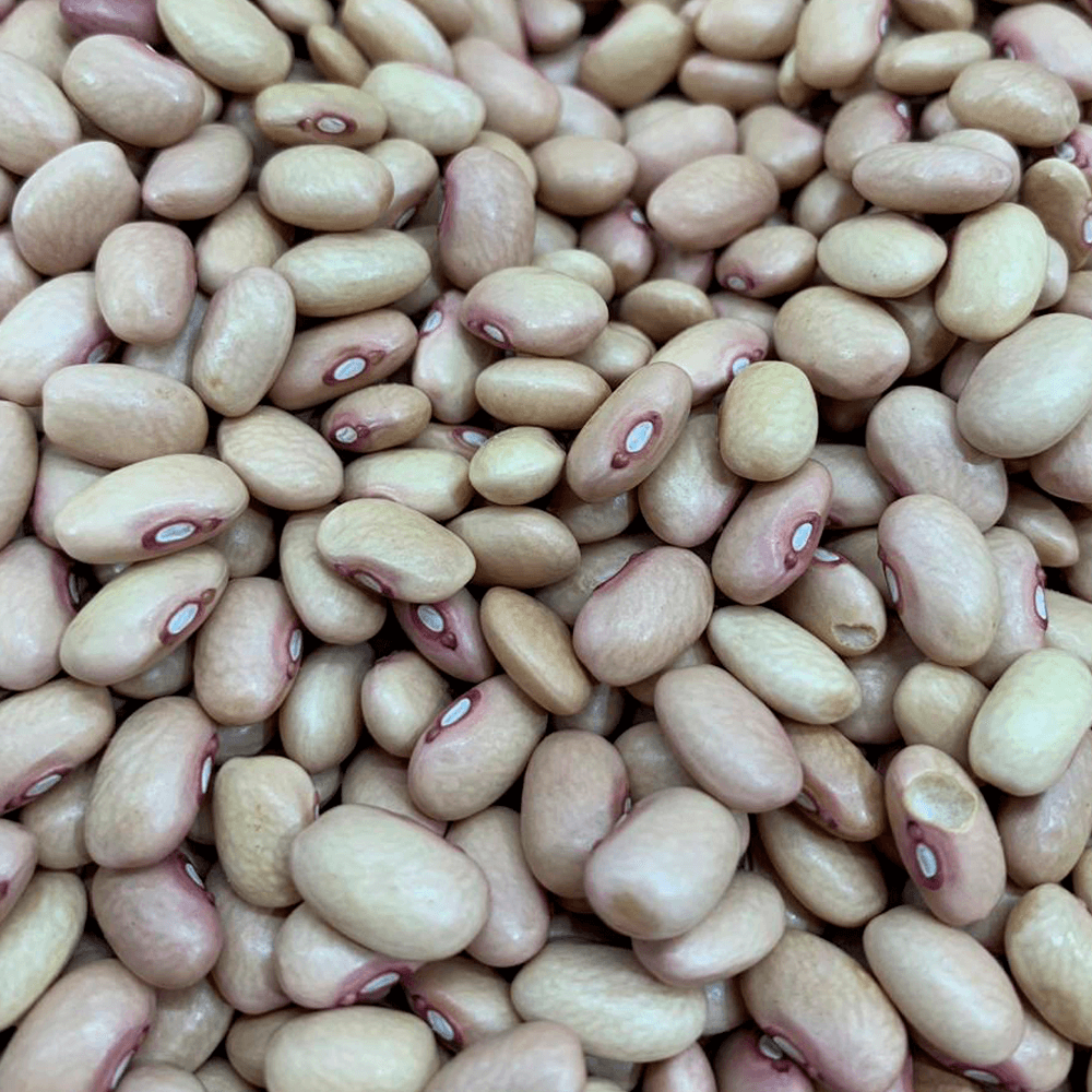 Feijao-Rosinha-500g