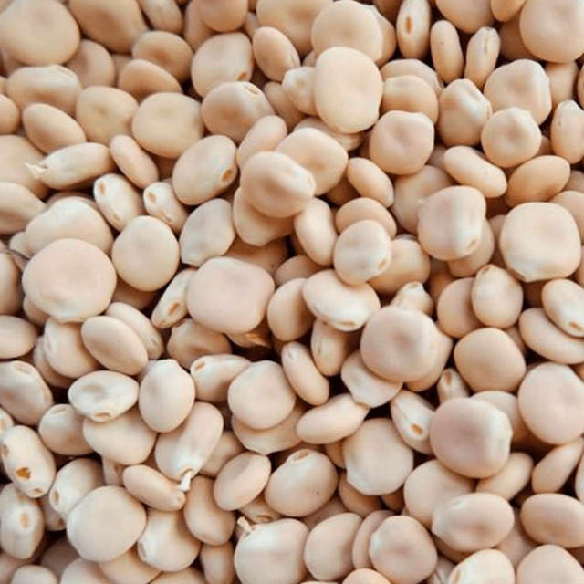 Tremoço Seco 25Kg