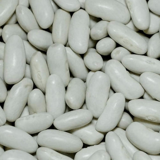 Feijão Branco 500g
