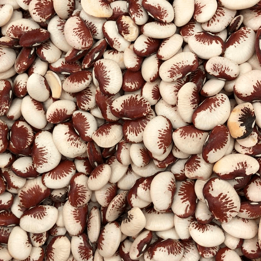 Fava Rajada Vermelha 500g