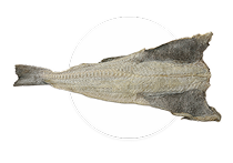 Bacalhau Cod