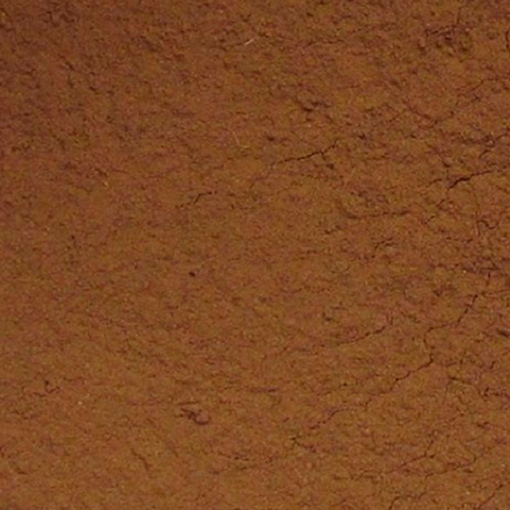 Alfarroba-em-Po-100g