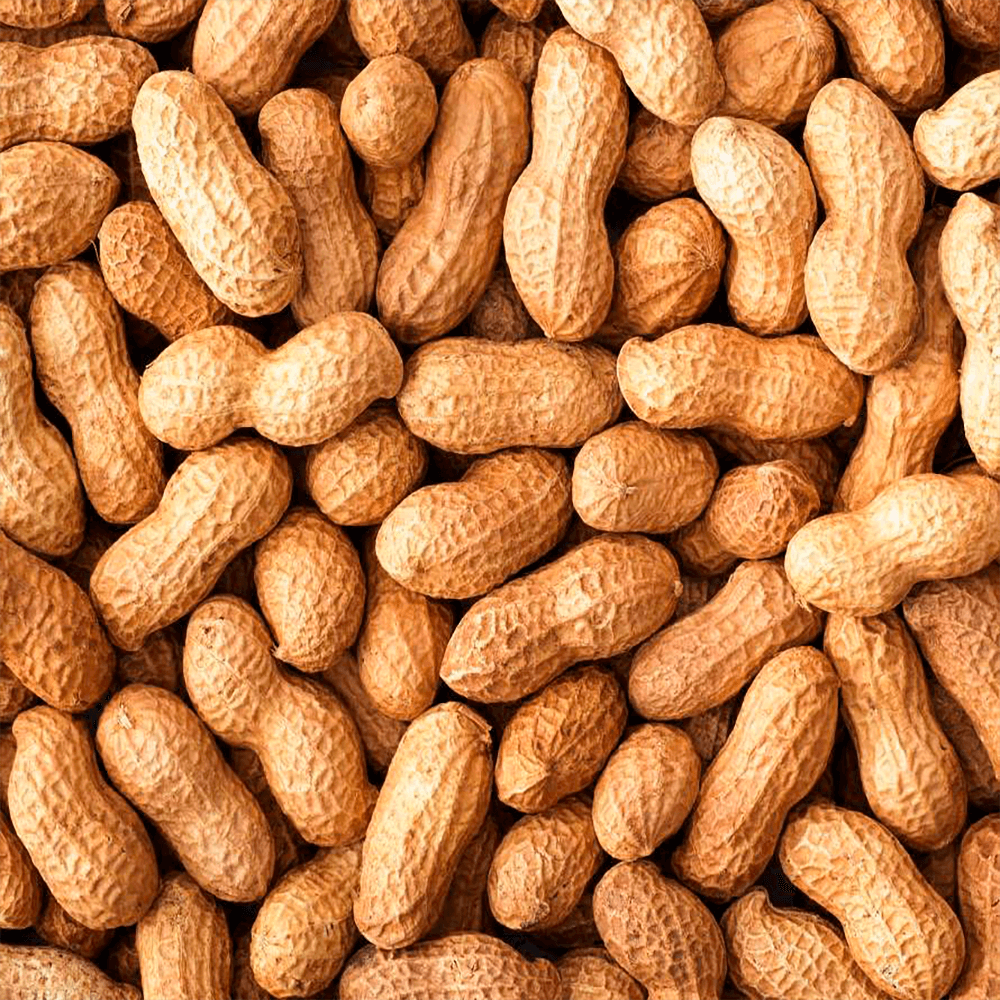 Amendoim-HPS-Com-Casca-Cru-500g