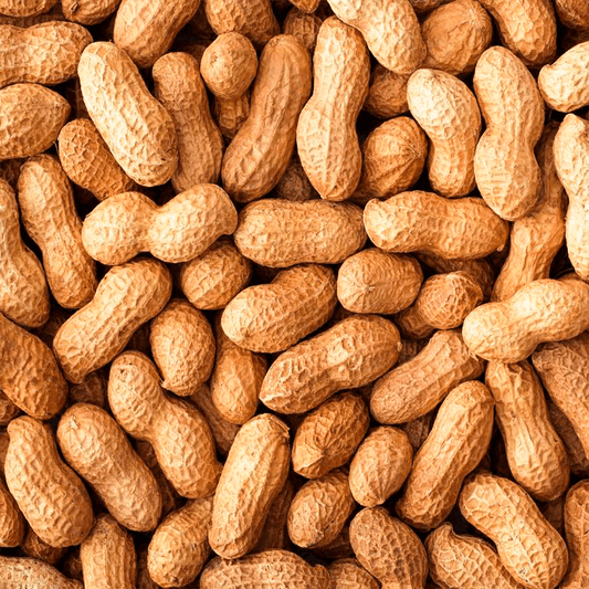 Amendoim-HPS-Com-Casca-Cru-500g
