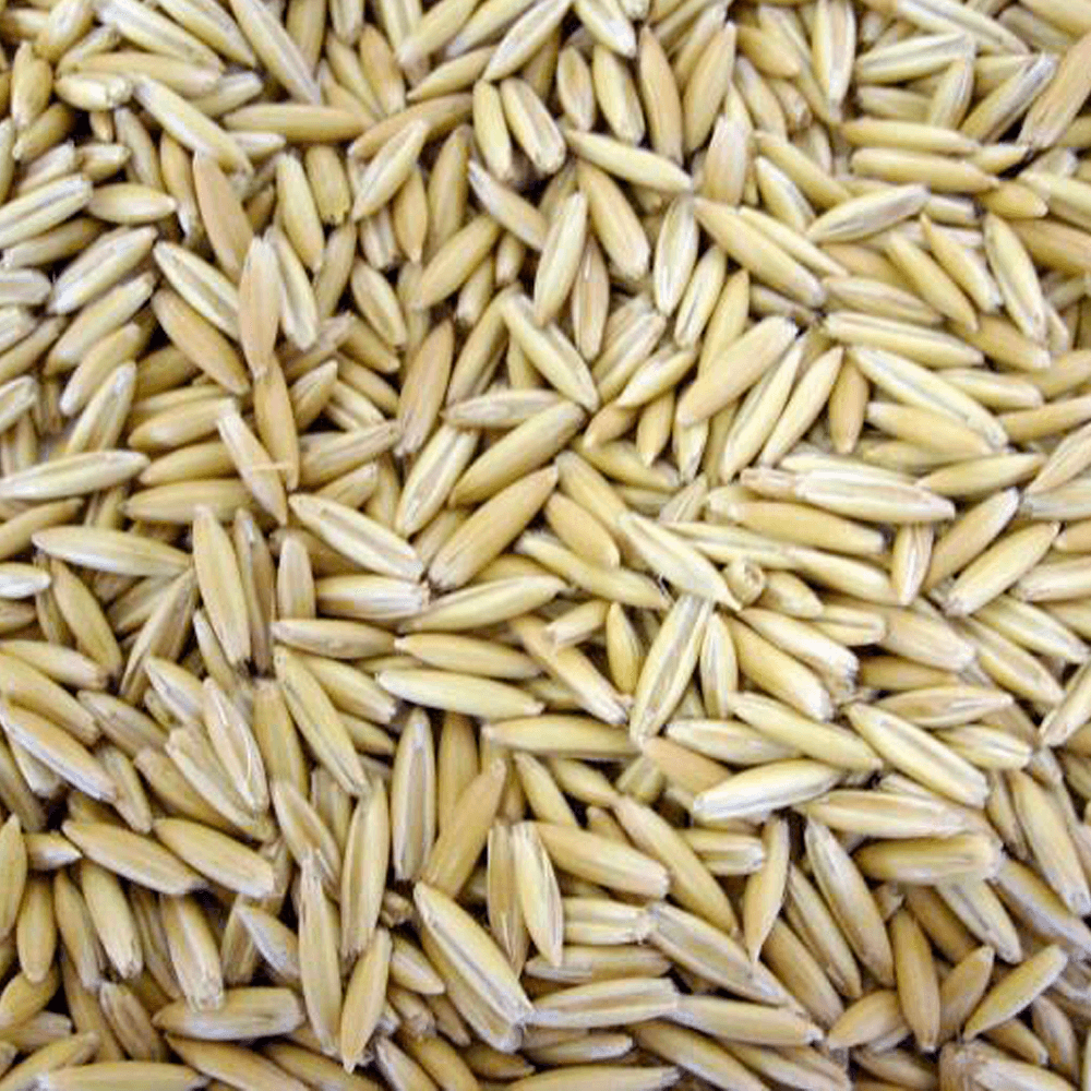 Aveia-em-Grao-500g