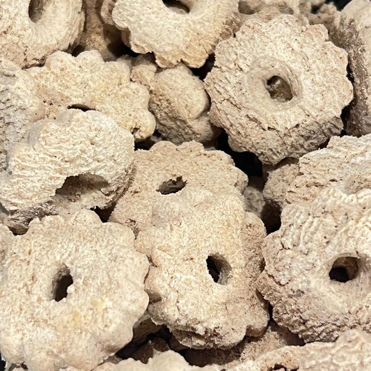 Biscoito-Artesanal-de-Canela-100g