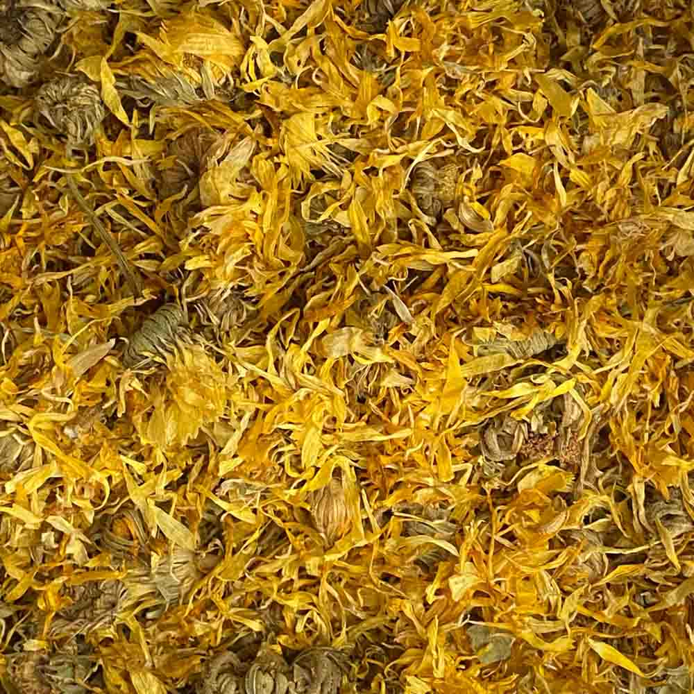 CALENDULA