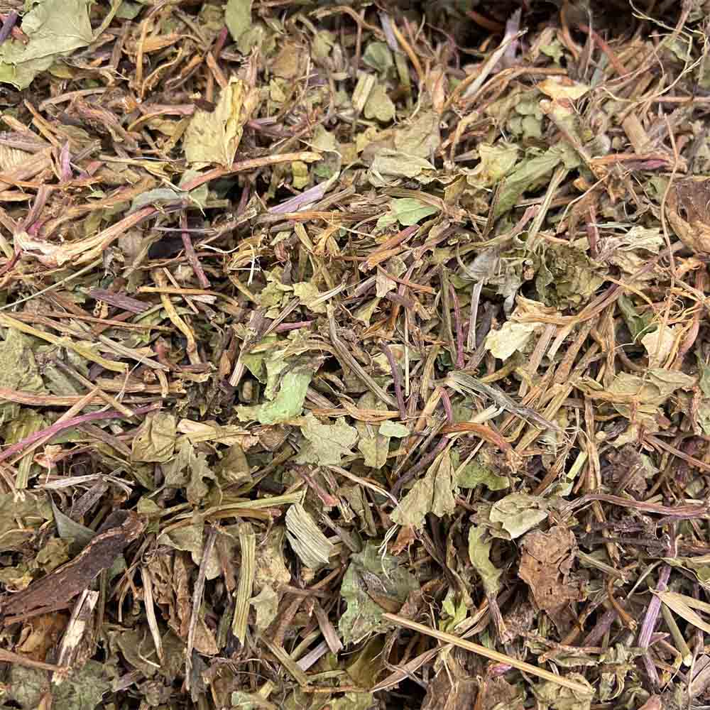 CENTELLA-ASIATICA