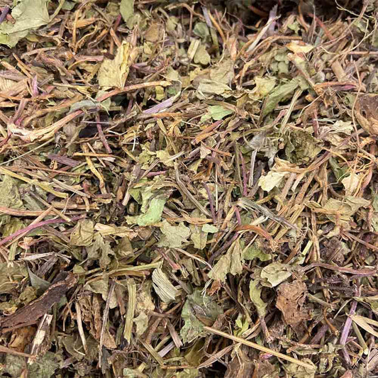 CENTELLA-ASIATICA