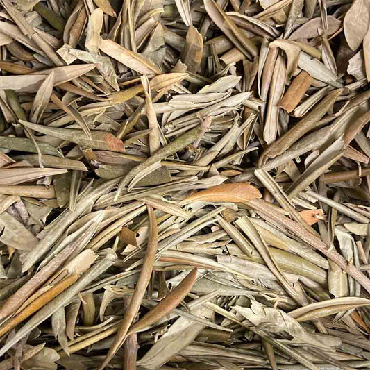 CHA-DE-OLIVEIRA