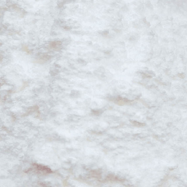 Leite de Coco em Pó Premium 15Kg