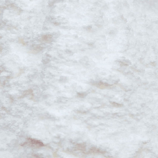 Leite de Coco em Pó Premium 15Kg