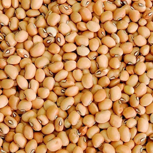 Feijão de Corda 30Kg