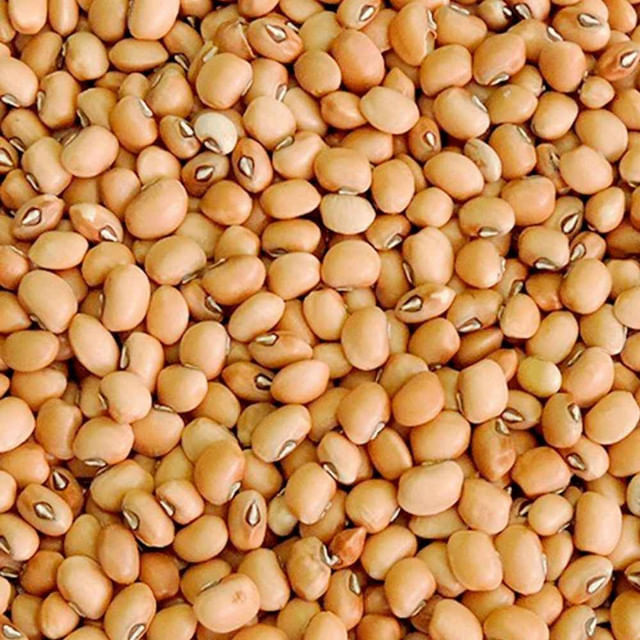 Feijão de Corda 30Kg