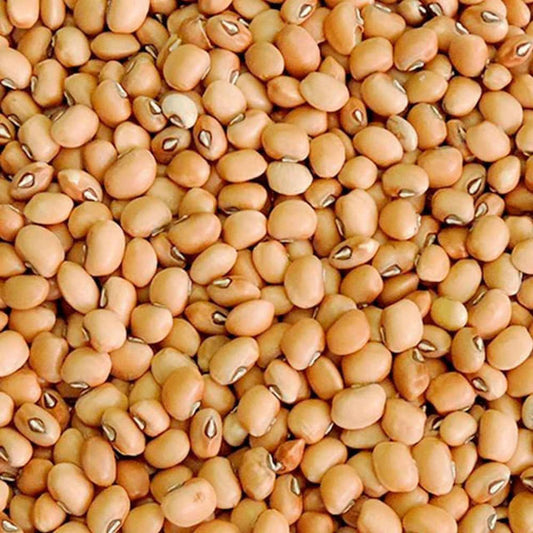 Feijão de Corda 30Kg