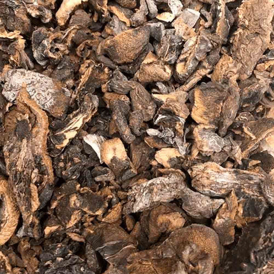 Funghi Seco 5Kg