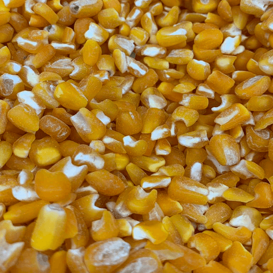 Canjica-Milho-Amarela-500g