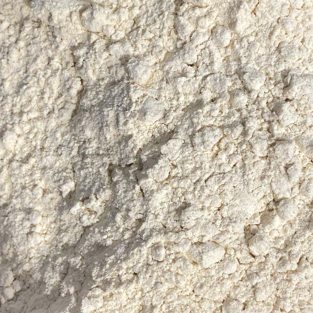 Cebola em Pó 100g