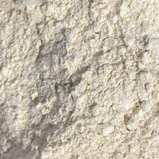 Cebola em Pó 100g