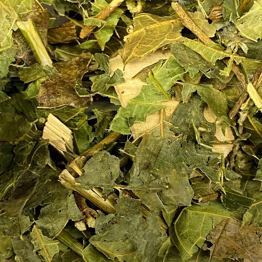 Erva de São João 100g
