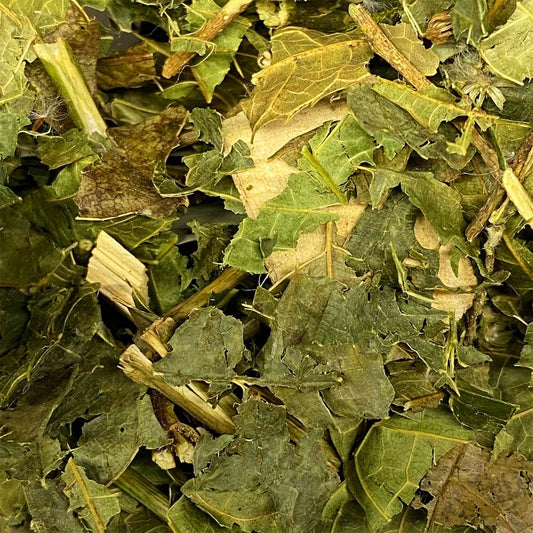Erva de São João 100g