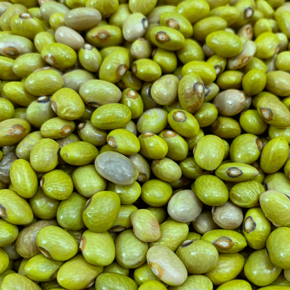 Feijao-Canario-500g