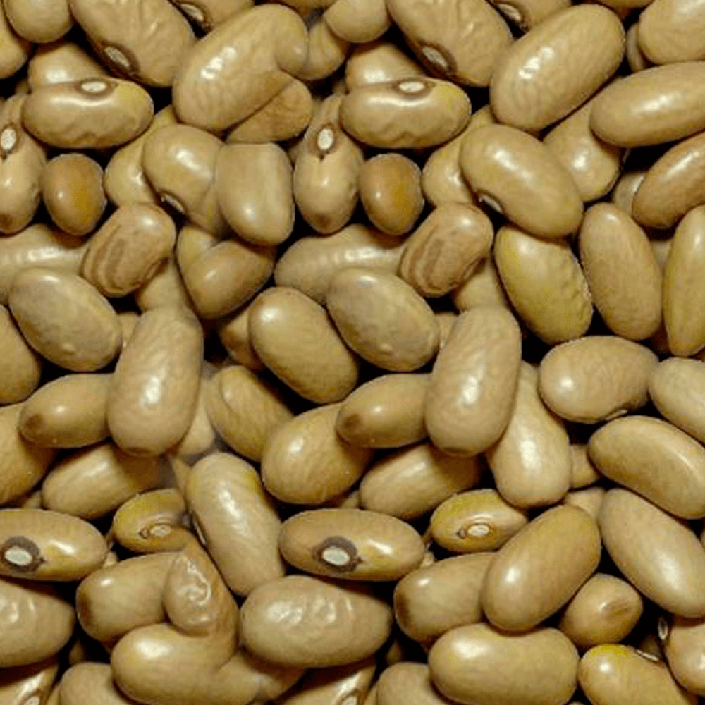 Feijao-Jalo-500g
