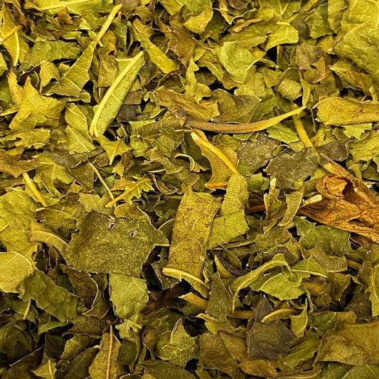 Folha de Amora 100g