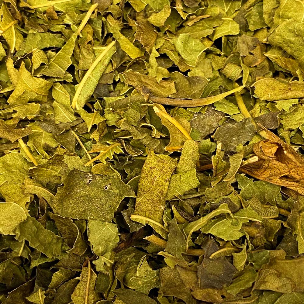 Folha de Amora 100g