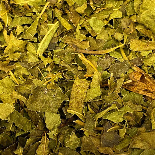 Folha de Amora 100g