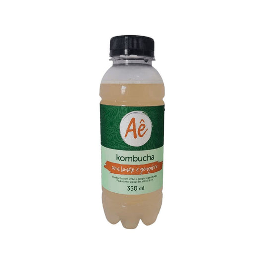 Garrafa-de-kombucha-Ae-sabor-limao-e-gengibre-com-350-ml