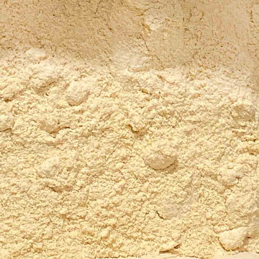 LEVEDURA-NUTRICIONAL-PO