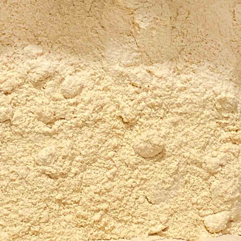 LEVEDURA-NUTRICIONAL-PO