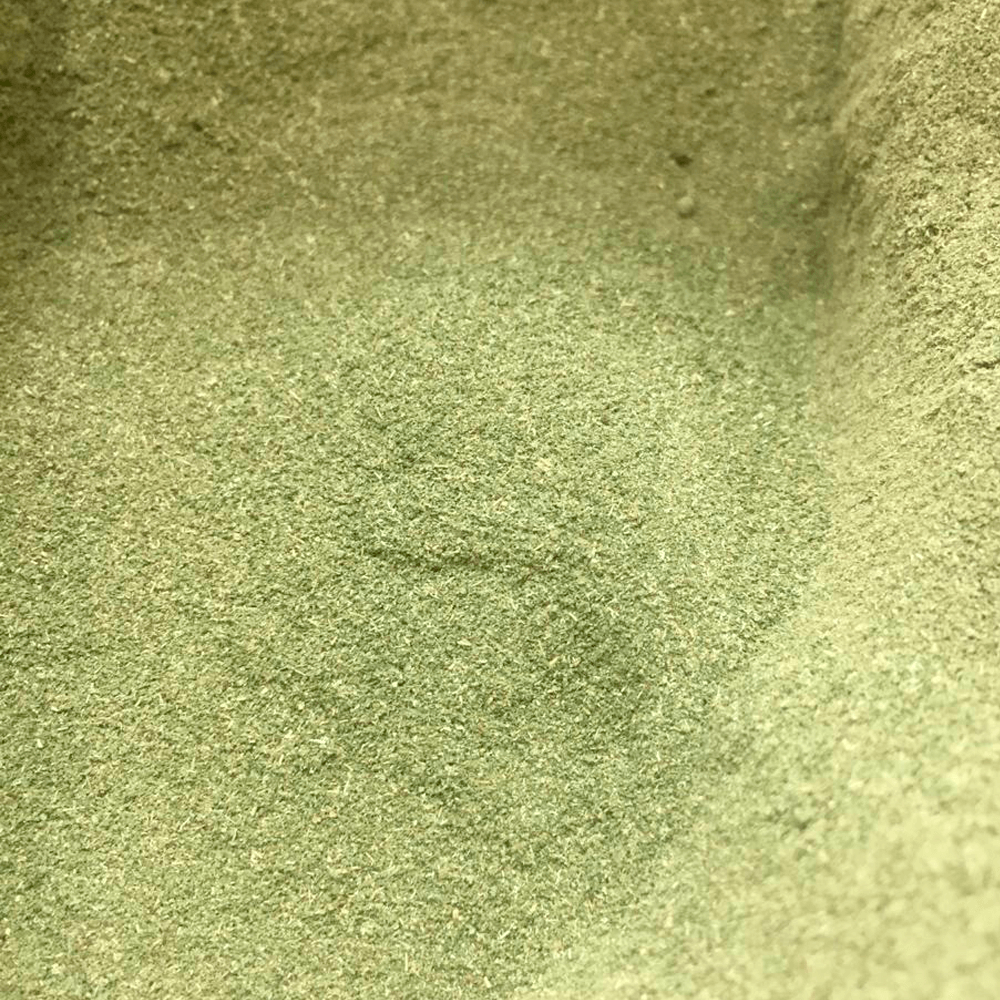 MORINGA1