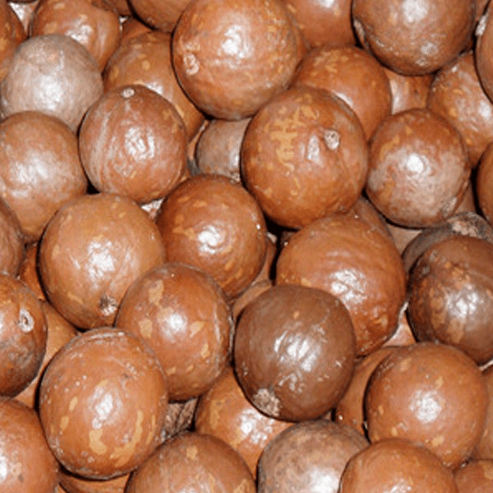 Macadamia-com-Casca-100g