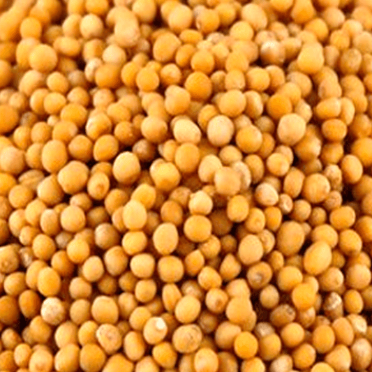 Mostarda-em-Grao-100g