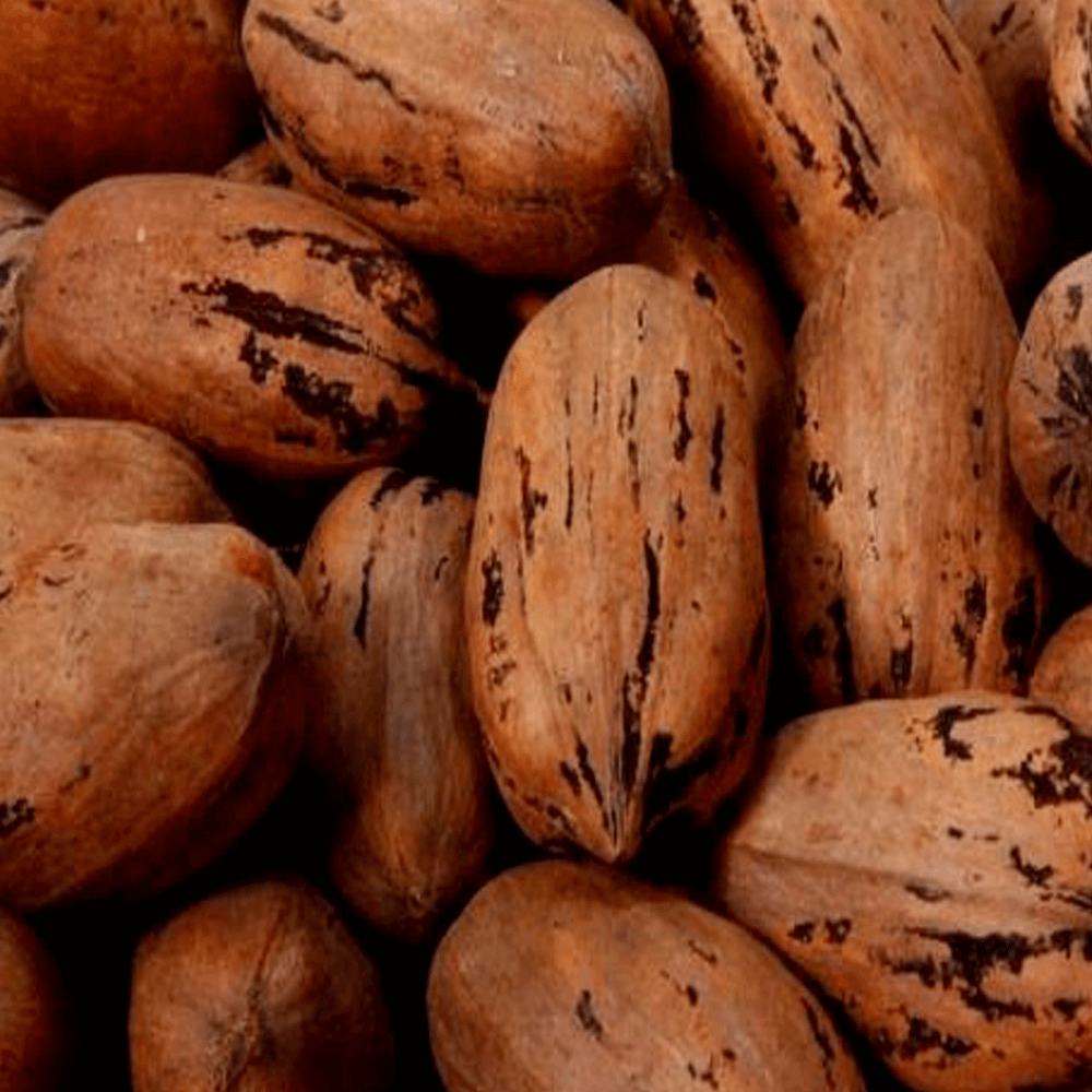 Nozes-Pecan-Com-Casca-100g