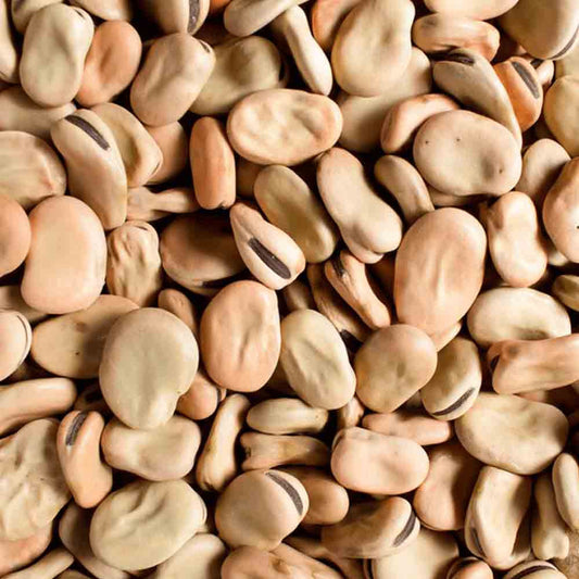 Fava Portuguesa 25Kg
