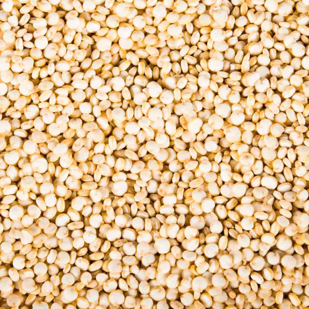 Quinoa Branca em Grão 25Kg