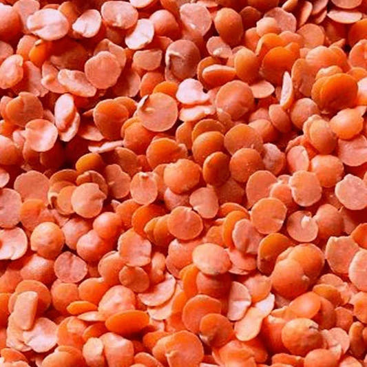 Lentilha Libanesa Vermelha 25Kg