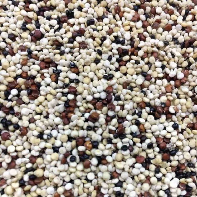 Mix de Quinoa em Grão 25Kg
