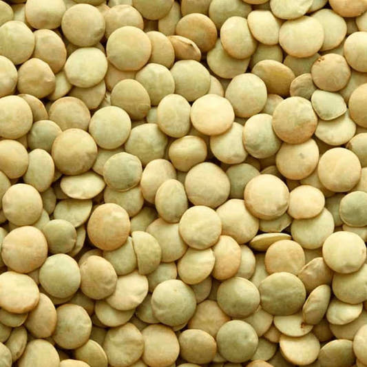 Lentilha Canadense 25Kg