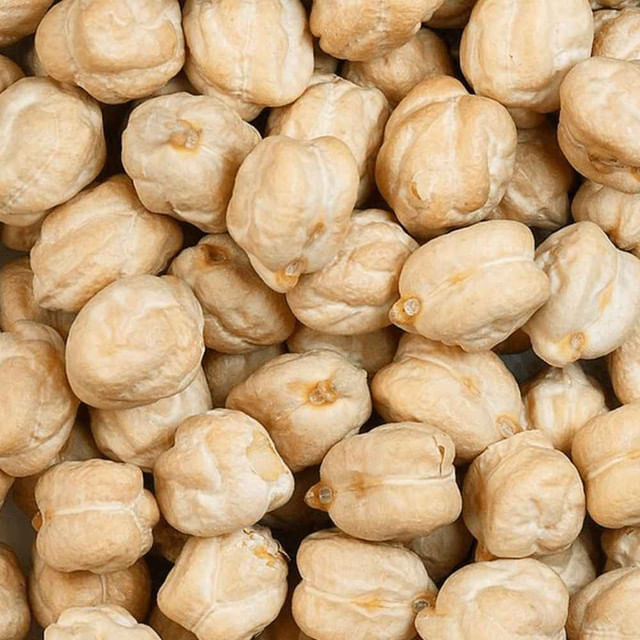 Grão de Bico Turco Graúdo 25Kg