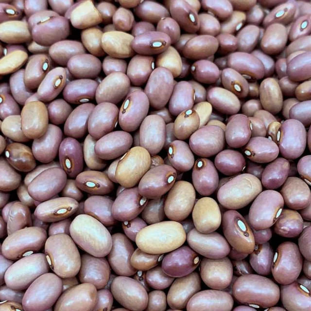 Feijão roxo 30kg