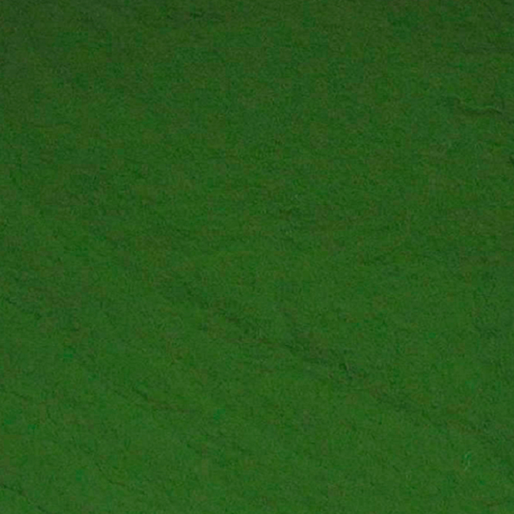Spirulina-em-Po-100g