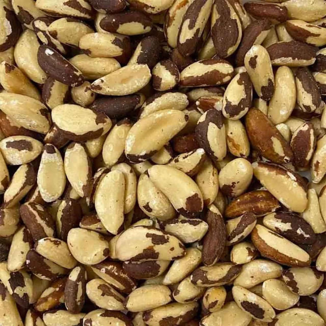 Castanha do Pará Inteira Média 100g