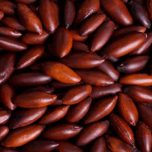 Castanha de Barú 100g