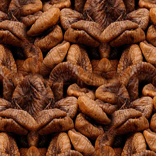 Figo Seco Turco 100g